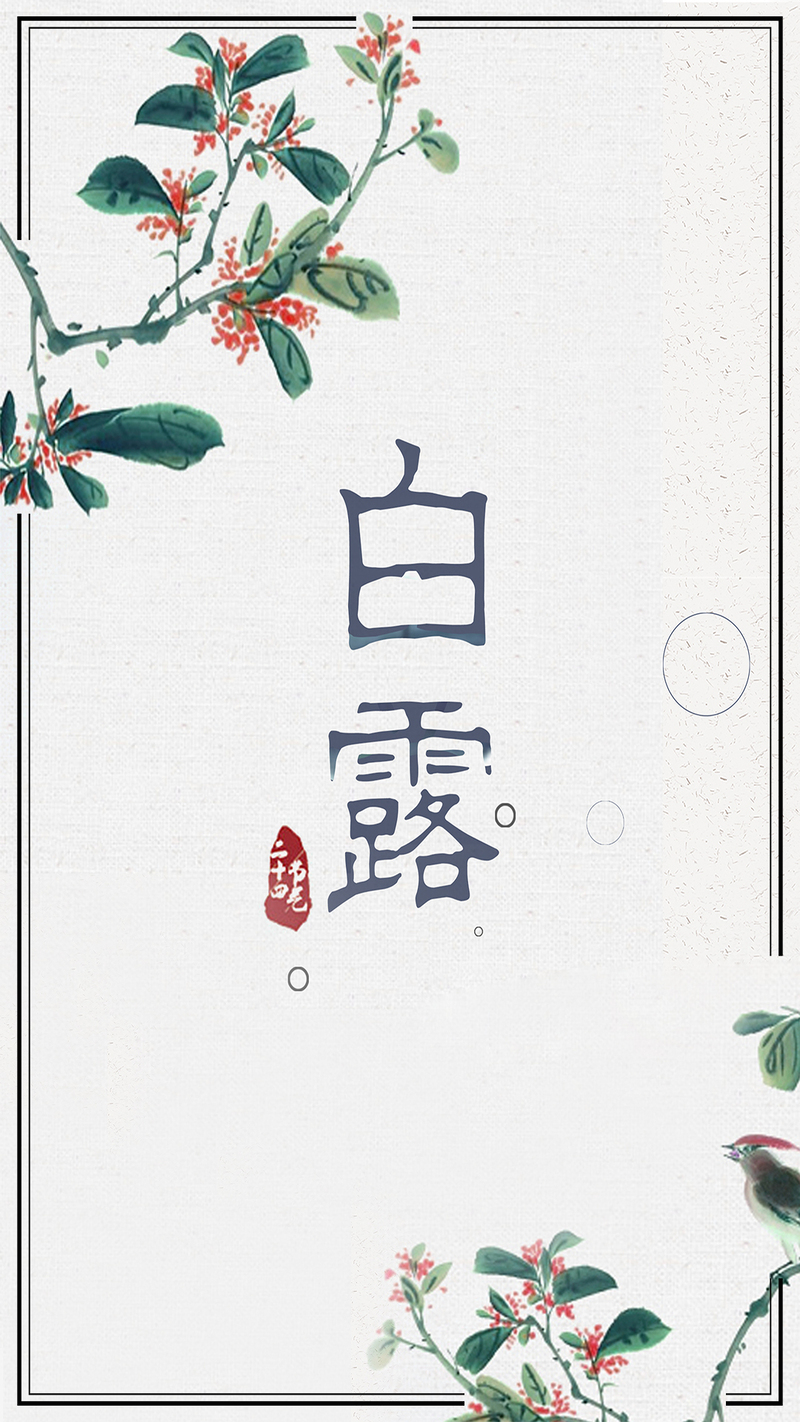 白露节气海报设计，简约复古中国风，H5高清JPG/PSD格式素材下载