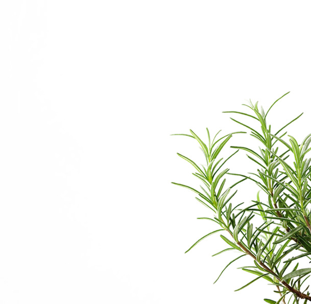 右下角高清绿色植物PNG素材，透明漂浮花瓣设计元素，免费下载