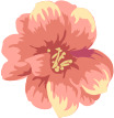 高清PNG透明花瓣漂浮元素，设计素材免费下载