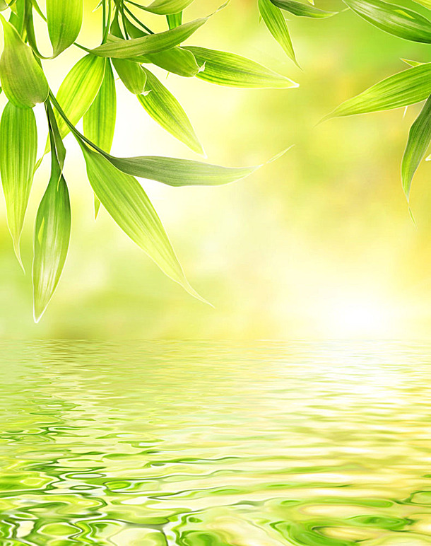 春日绿叶水波纹理壁纸，高清PNG透明背景，卡通手绘设计素材下载