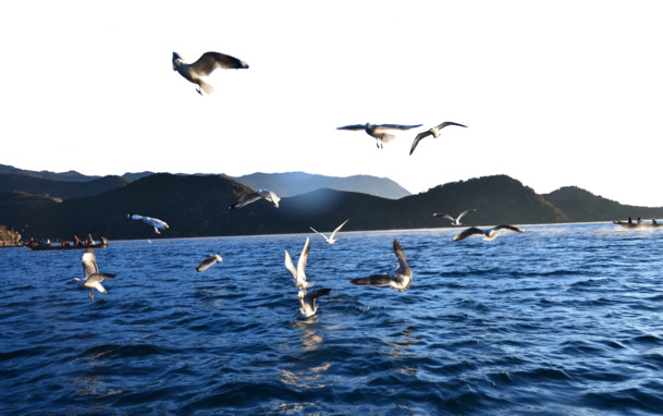 泸沽湖旅游景区，高清PNG透明背景摄影素材，风景图片设计元素下载