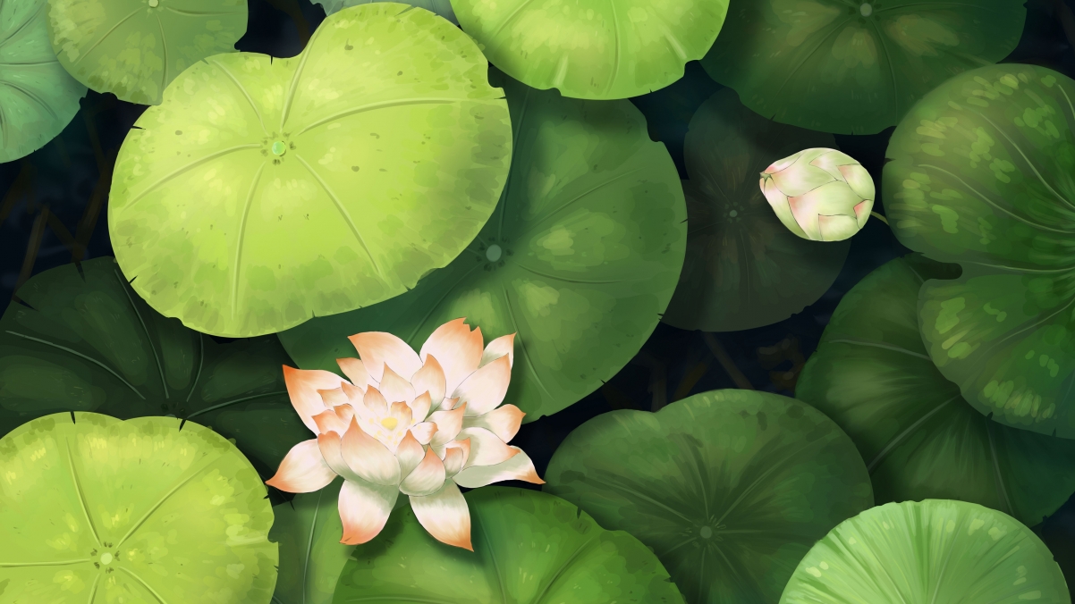 国风荷花AI绘画，4K超清壁纸，绝美风景，3840x2160高清下载