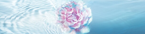唯美抽象七彩花瓣PNG透明背景，高清设计素材免费下载