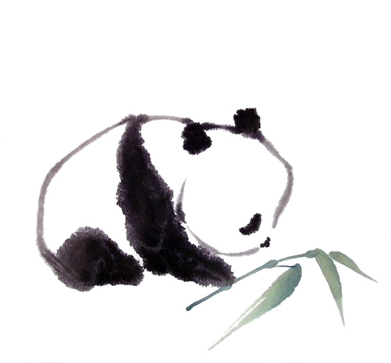 熊猫手绘卡通PNG透明图片，高清素材，设计必备下载