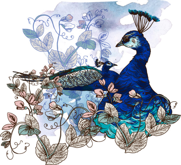 唯美孔雀花卉PNG透明图，EPS格式设计素材，高清下载
