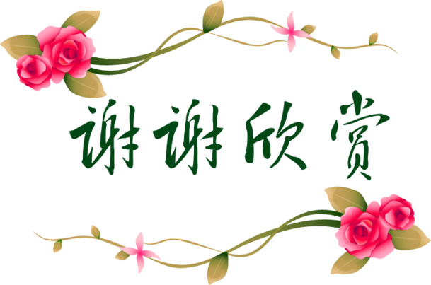 玫瑰花美图欣赏，高清PNG透明免扣素材，字体元素丰富，设计必备下载