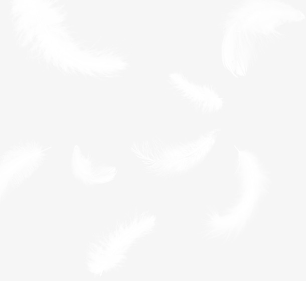 白色半透明动物羽毛轻盈飘落，高清PNG免抠元素，创意图片设计素材下载