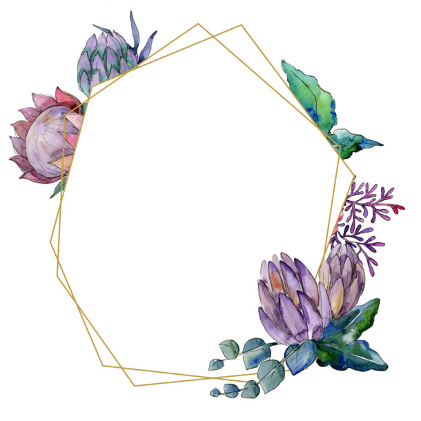 高清PNG透明植物边框，花朵花圈装饰元素，设计素材免费下载