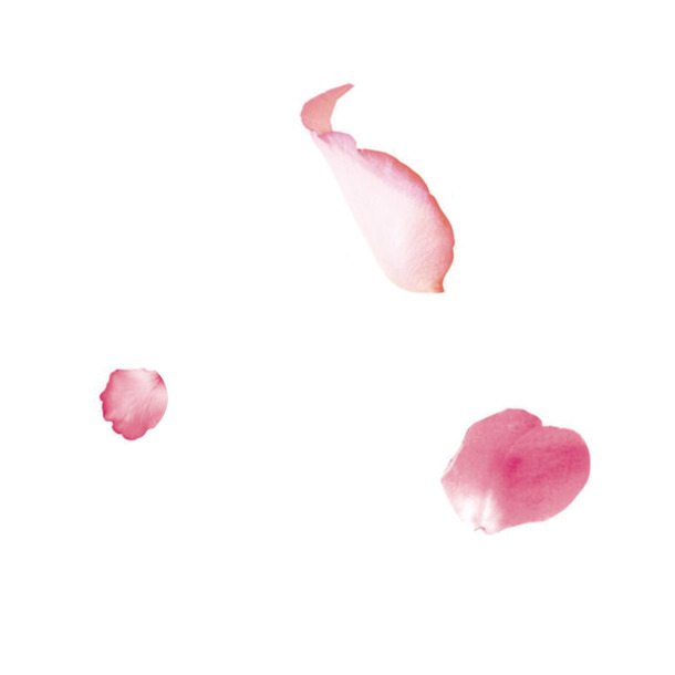散落花瓣PNG透明图，高清漂浮元素，设计素材免费下载