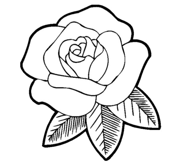 玫瑰花简笔画PNG透明图，高清装饰元素，设计素材免费下载