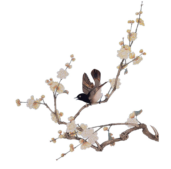 中国风花鸟工笔画PNG素材，高清透明装饰元素，免费下载
