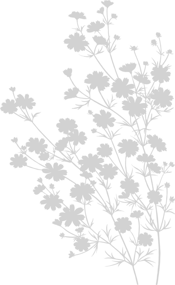 矢量线描花卉剪影图案，高清PNG透明底纹，AI格式设计素材免费下载