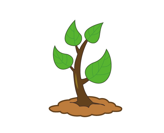 春日小树苗PNG透明图，动植物元素设计素材，高清下载