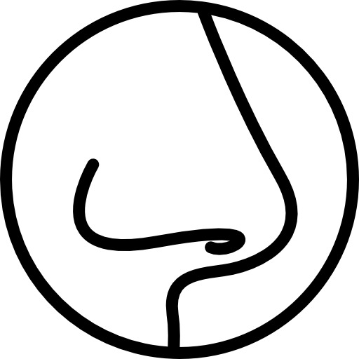 鼻子图标PNG透明免抠素材，高清下载，设计元素必备