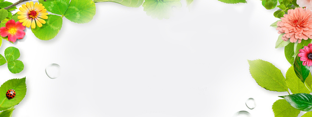 清新背景PNG透明图，高清Banner海报设计素材免费下载