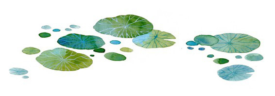 浮萍手绘PNG透明图，高清荷叶装饰元素，植物设计素材下载