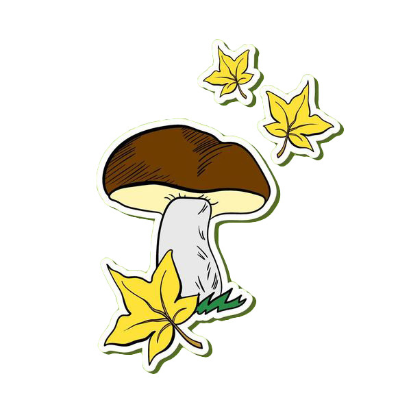 手绘蘑菇枫叶贴纸PNG，高清透明漂浮元素，叶子图片设计素材下载