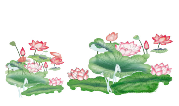 池塘荷花交错美景，高清PNG透明动植物元素图片，设计素材免费下载