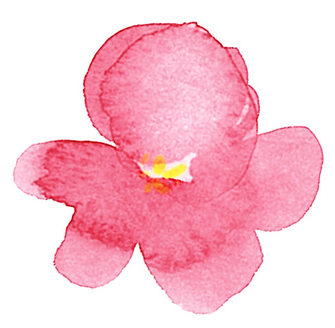粉色樱花插画水印PNG，高清透明花瓣漂浮元素，设计素材下载