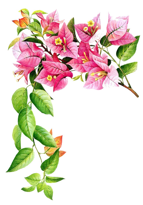 高清PNG透明图片，红色花朵绿叶漂浮元素，花瓣设计素材下载