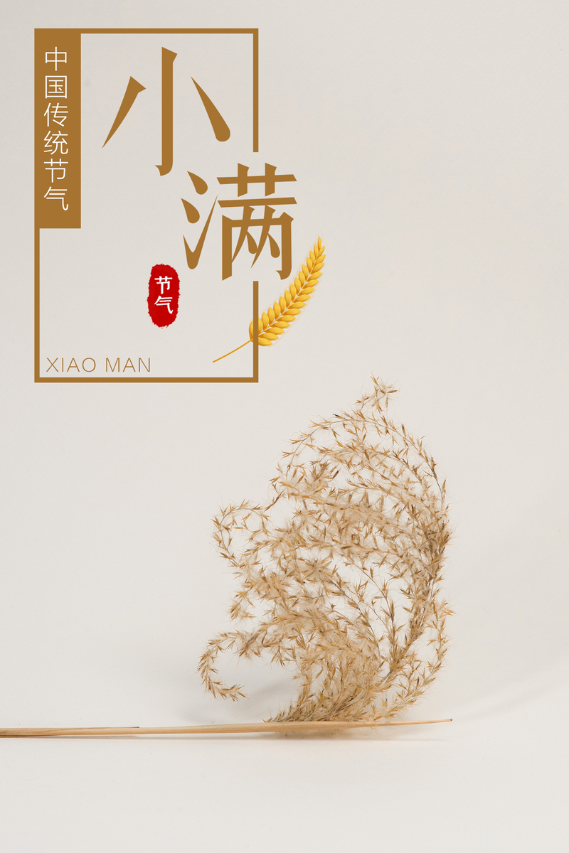 传统节气小满精美图片素材，高清JPG与创意PSD格式任选下载