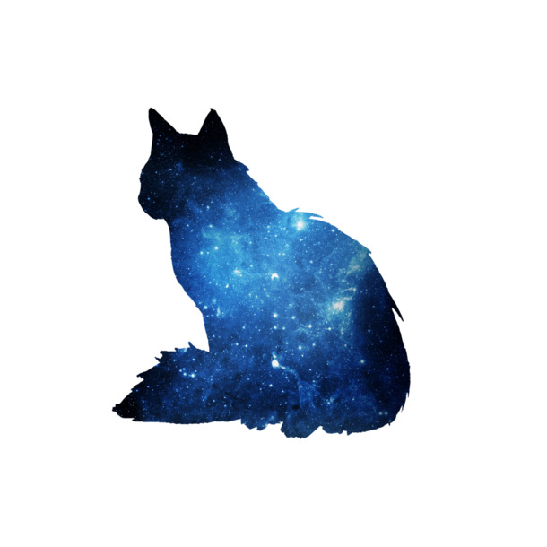 猫咪星空，OVO高清PNG透明图片，动植物元素动物设计素材下载