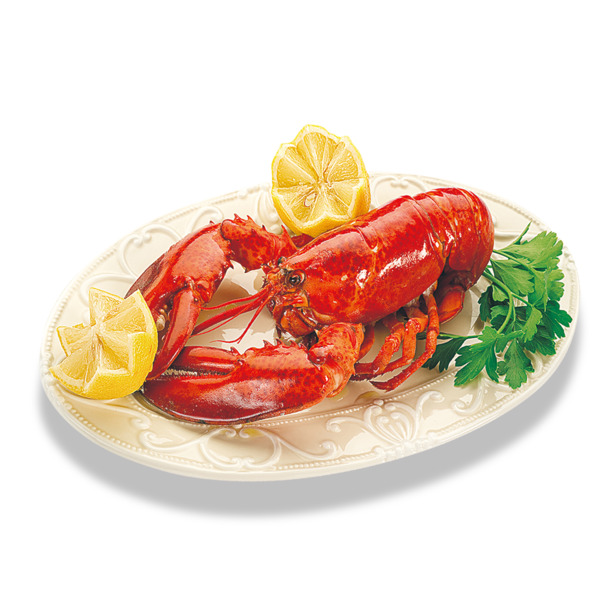 龙虾PNG透明图，高清动物装饰元素，PSD设计素材免费下载