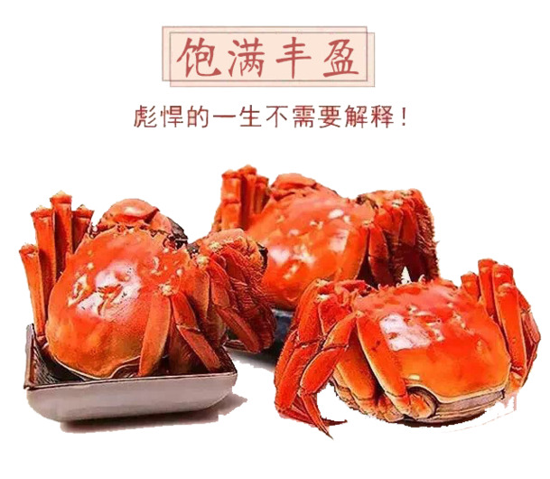 大闸蟹PNG透明图片，高清动物装饰元素，设计素材免费下载