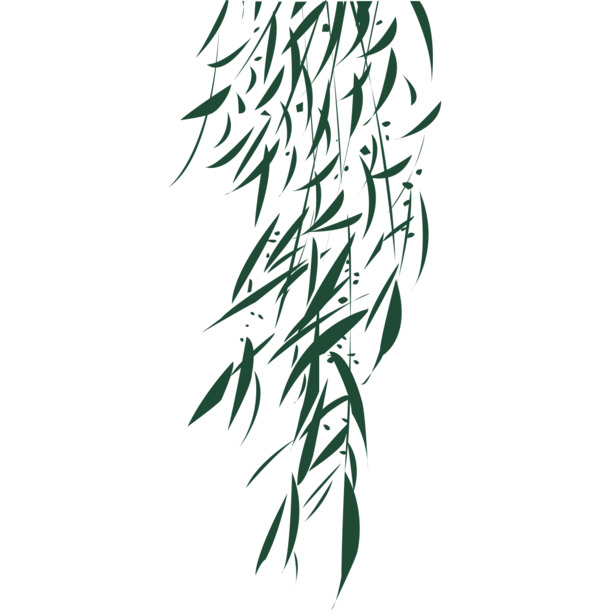 水墨柳叶PNG透明图，高清装饰元素，植物设计素材下载