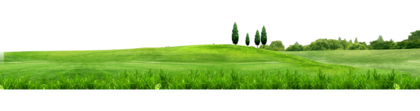春季绿意盎然大草原高清PNG透明背景，摄影风景素材下载