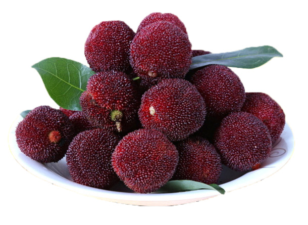 可口杨梅素材，高清PNG透明动植物元素，设计图片免费下载