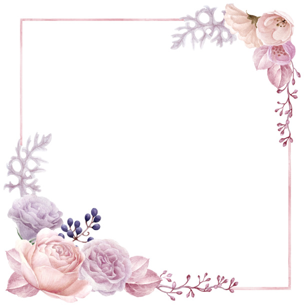 手绘花草边框PNG素材，高清透明图片，创意装饰元素下载