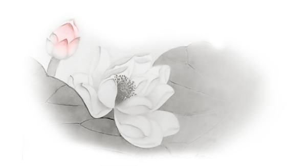 中国风莲花PNG透明图片，高清装饰元素，设计素材下载