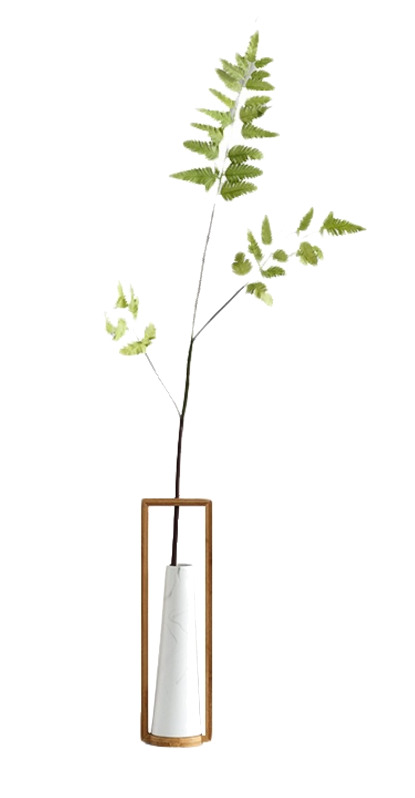 植物装饰摆件PNG透明图，动植物元素，高清设计素材免费下载
