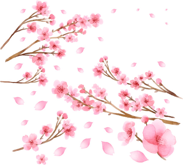 唯美粉色樱花PNG素材，高清透明花瓣漂浮元素，设计下载必备