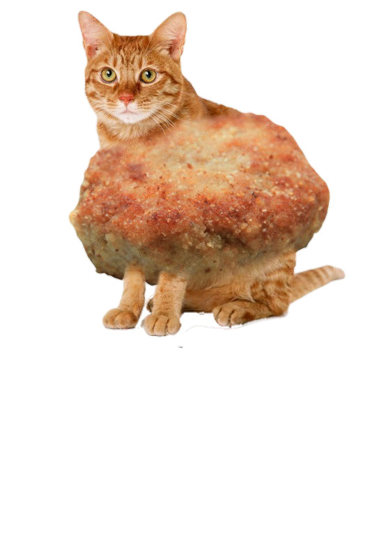 炸鸡猫PNG透明图片，高清效果元素，动物装饰素材下载