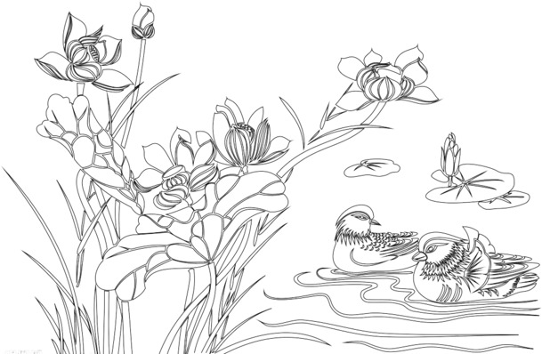 鸳鸯荷花线稿PNG，高清透明免抠图标，设计素材一键下载