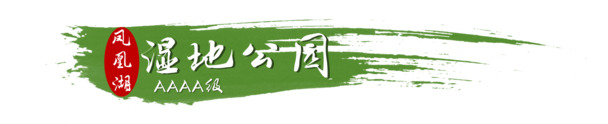 绿色毛笔墨韵凤凰湖湿地公园PNG透明图片，高清装饰元素与笔触设计素材下载