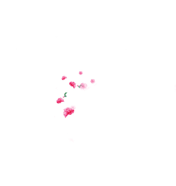 纷飞粉色花瓣PNG透明图片，高清装饰元素，设计素材免费下载