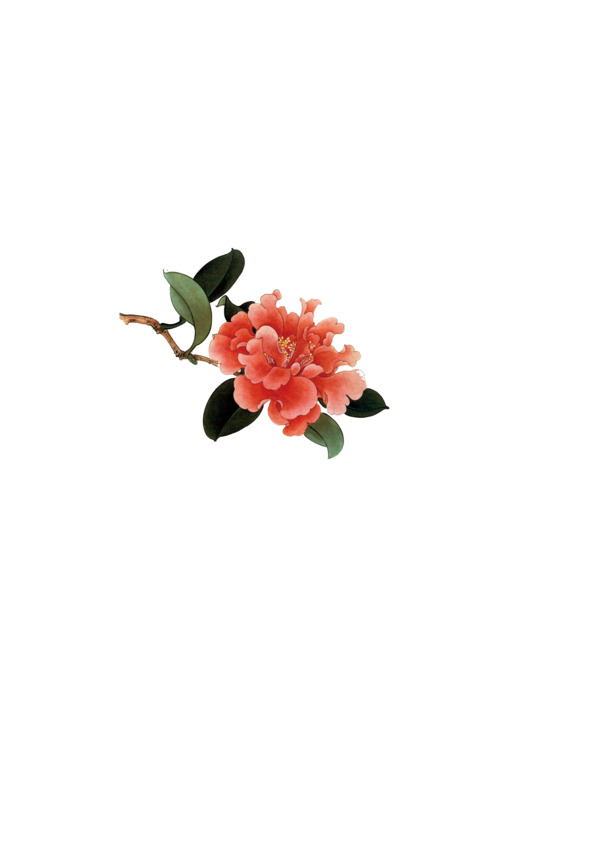 古风芙蓉PNG透明图片，高清装饰元素，设计素材免费下载