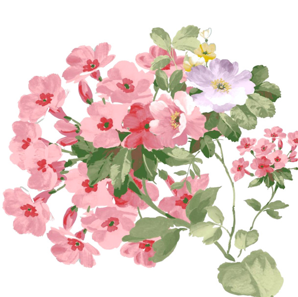 缤纷手绘花朵PNG素材，高清透明动植物元素，设计必备下载