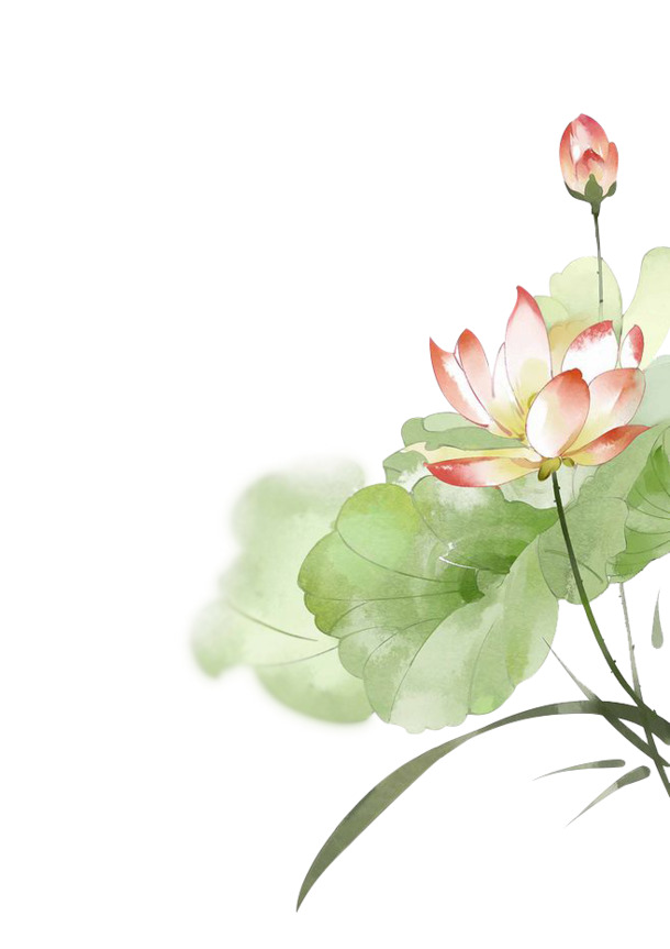 手绘彩色荷花PNG素材，高清透明，中国风装饰元素，免费下载