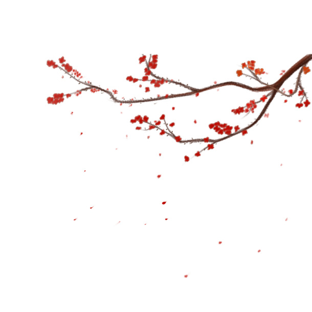 中国风手绘冬至梅花PNG素材，高清透明图片，精美装饰元素下载