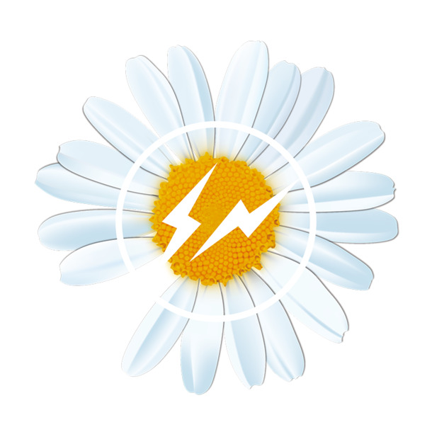 下载手绘卡通雏菊、菊花、太阳花PNG透明图片，丰富设计素材库