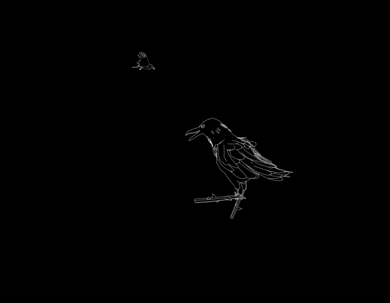 乌鸦叫动画特效，带声音的乌鸦动画素材
