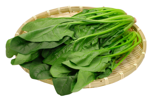 筛中翠绿菠菜PNG透明图，动植物元素植物素材下载