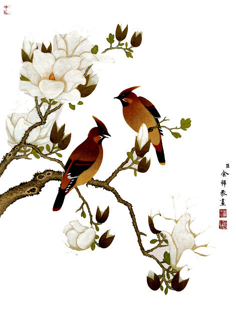 工笔花鸟画高清PNG透明素材，动物装饰元素，设计资源免费下载