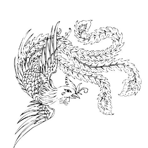 凤凰精选，高清PNG透明动物图片素材，创意装饰元素免费下载