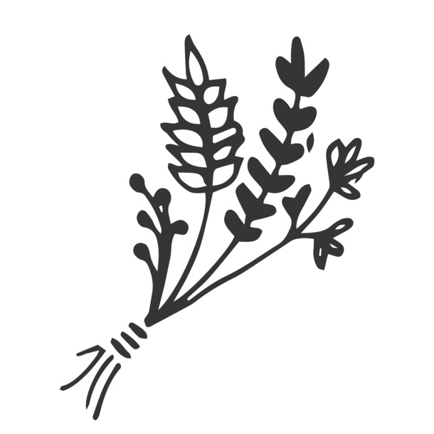 卡通黑白插画，清新花草PNG透明免扣元素，高清设计素材下载