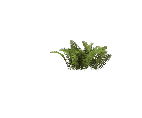 森林草丛PNG透明图，动植物元素，高清设计素材免费下载